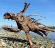 Driftwood Art