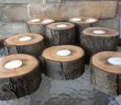 Tree Trunk Candles