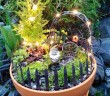 Fairytale Garden Pictures