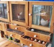Wood Chicken Cabinet