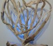 Driftwood Heart Art