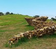 Cordwood fence sculpture