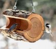 wood log for birds