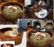 Beds for Dogs Made with Recycled Wooden Barrels
