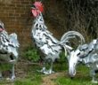 bicycle parts recycled hens